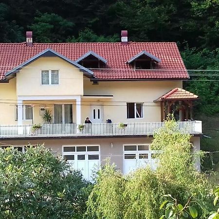 Guesthouse Stanojevic Guča Εξωτερικό φωτογραφία