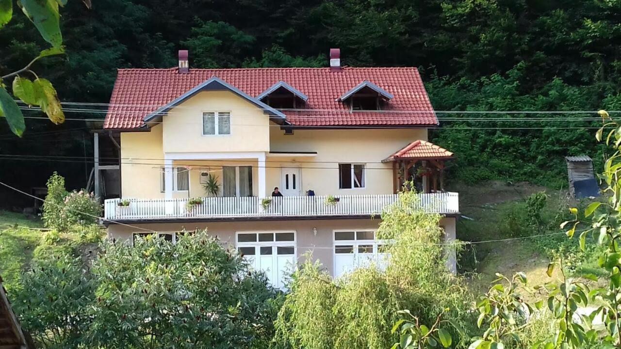Guesthouse Stanojevic Guča Εξωτερικό φωτογραφία