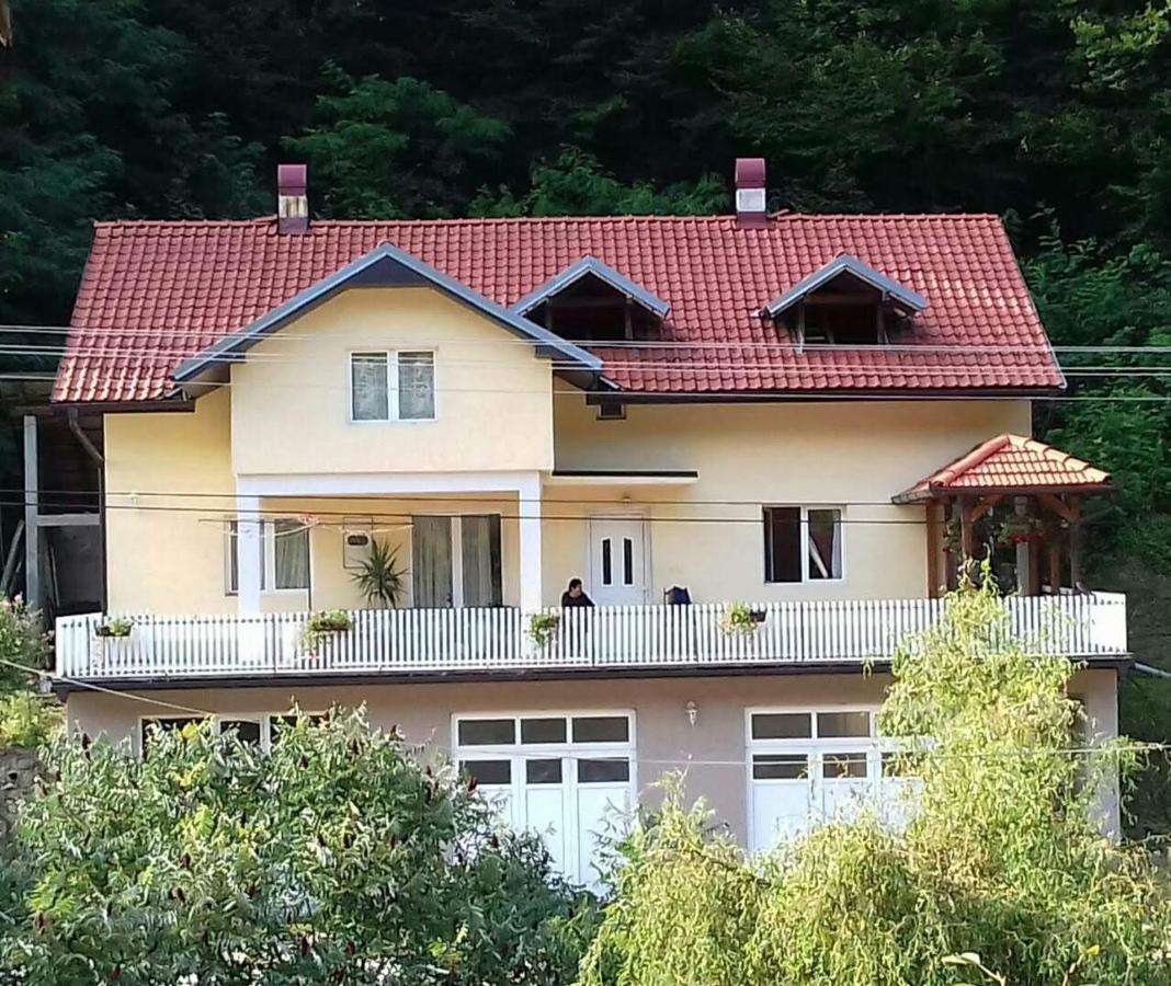 Guesthouse Stanojevic Guča Εξωτερικό φωτογραφία