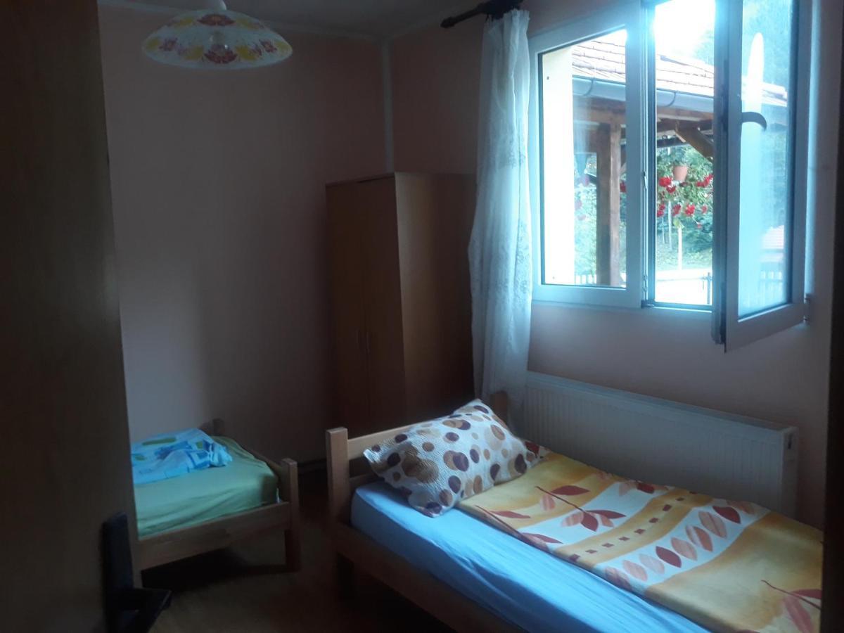 Guesthouse Stanojevic Guča Εξωτερικό φωτογραφία
